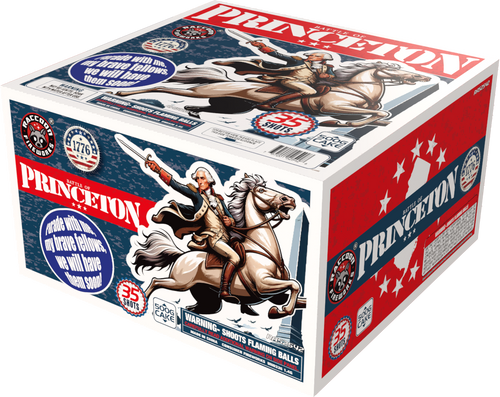 BATTLE OF PRINCETON