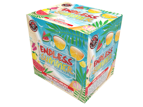 ENDLESS SUMMER