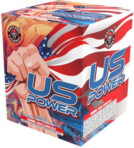 US POWER