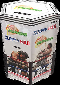 SLEEPER HOLD