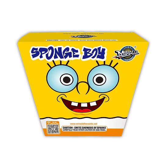 SPONGE BOY